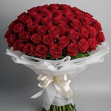 Букет 101 Красная роза Блэк Мэджик в Беломорске
