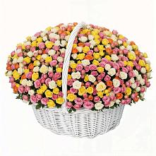 Премиум букет из: Розы в Беломорске