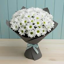 Букет цветов из:  Хризантемы в Беломорске
