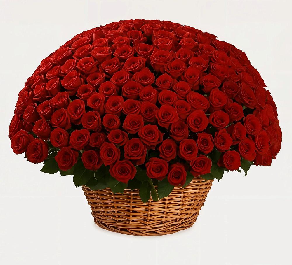 Премиум букет из: Розы в Беломорске