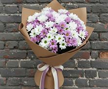 Букет цветов из:  Хризантемы #REPLACE_PRED# Беломорске