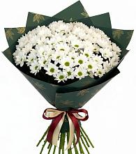 Букет цветов из:  Хризантемы в Беломорске