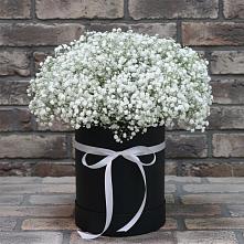 Цветочная композиция из Гипсофила в шляпной коробке в Беломорске