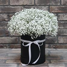 Цветочная композиция из Гипсофила в шляпной коробке в Беломорске