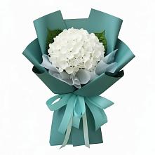 Букет цветов из:  Гортензия в Беломорске